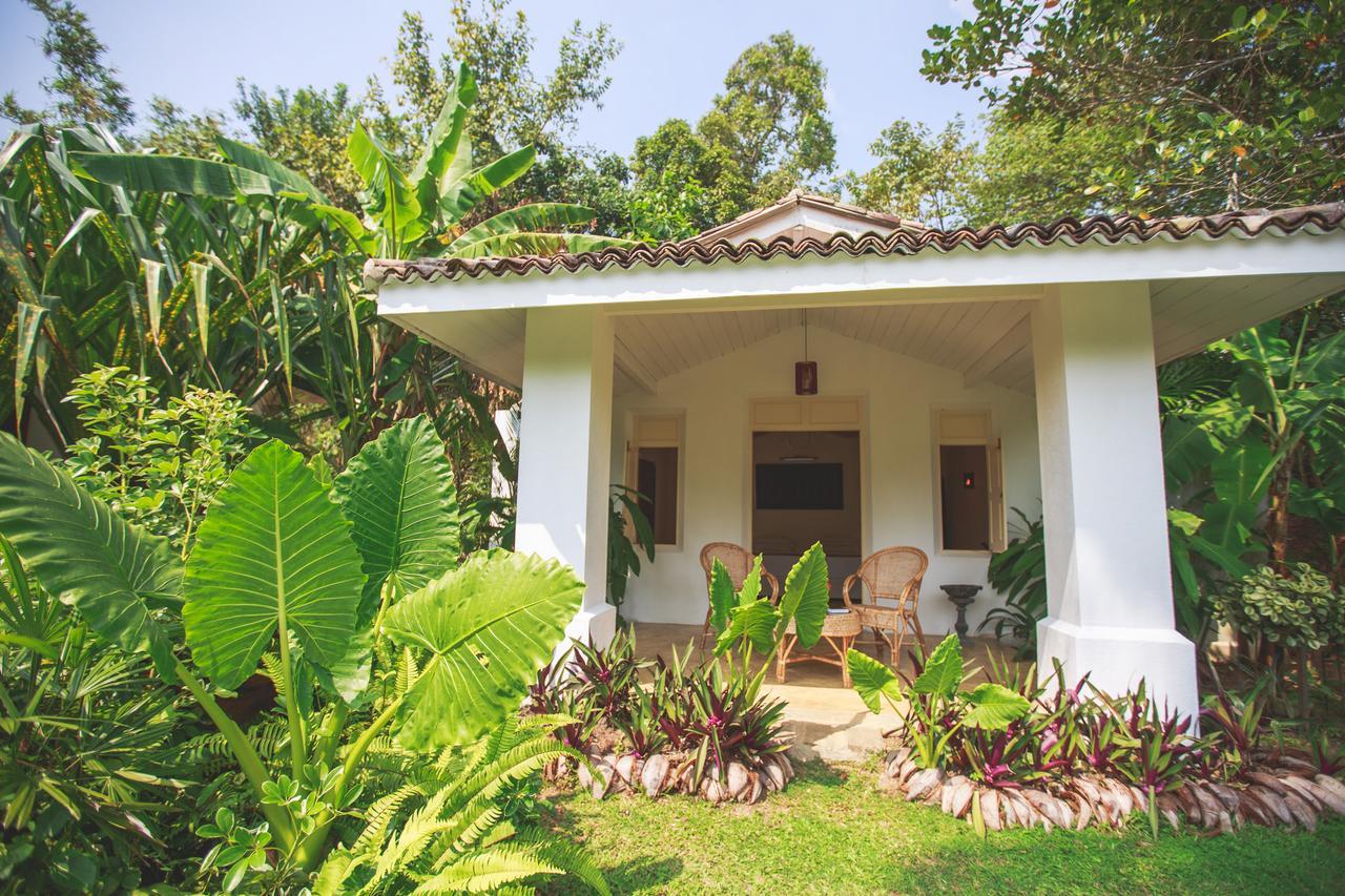 Karmel Villa Thalduwa Island - Five Bedroom Luxury Villa With Private Pool Ahangama Zewnętrze zdjęcie
